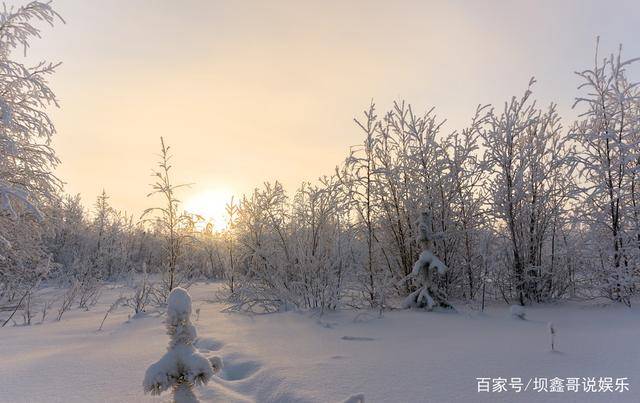 苹果版的太阳的意思是什么:《遥远的北方》结局是什么意思-第2张图片-太平洋在线下载