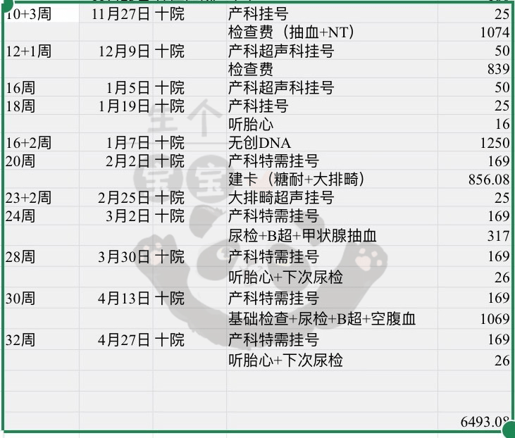 糖心vlog苹果商店版:2023上海市第十人民医院产检全攻略：产检流程、时间、费用_孕妈经验分享-第10张图片-太平洋在线下载