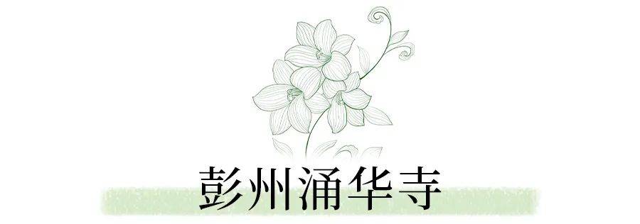 乐乐彩彩票苹果版:我们找到第一批带娃进山挖野菜的家长，给大家整理了一份“徒步+挖野菜”攻略