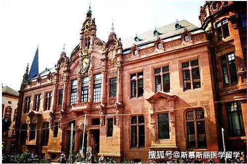 帝国联盟苹果版:海德堡大学攻读医学博士，德国医学留学