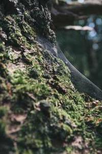 永恒荣耀苹果版下载-第3张图片-太平洋在线下载