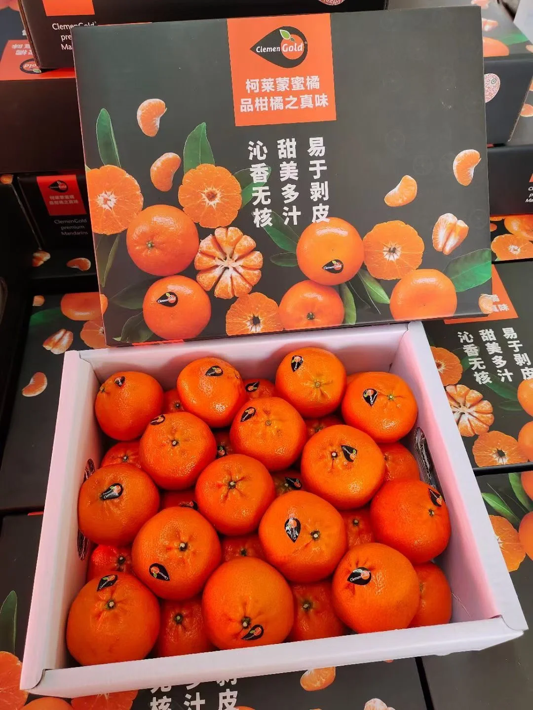 柑橘苹果版(下载柑橘阅读)-第5张图片-QuickQ官网 柑橘苹果版(下载柑橘阅读)-第5张图片-QuickQ官网