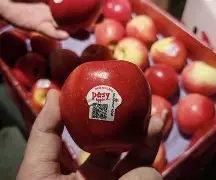 supdy苹果版(superpads苹果版)-第5张图片-QuickQ官网 supdy苹果版(superpads苹果版)-第5张图片-QuickQ官网