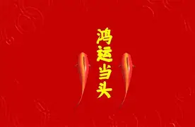 关于云南鸿运手机版下载苹果的信息-第5张图片-QuickQ官网